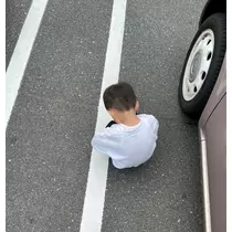 さくら