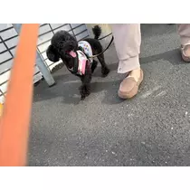 黒輝 りさ