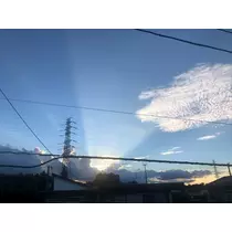 ゆず