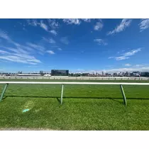 佐倉 里緒