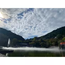 成海 まお