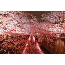 花美人スタッフ