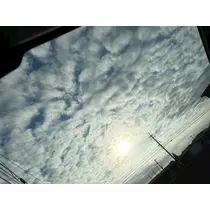 美月