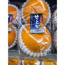 七星 ゆめ