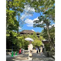 涼宮 かごめ
