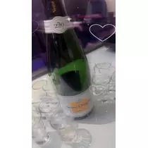 ティラノまな