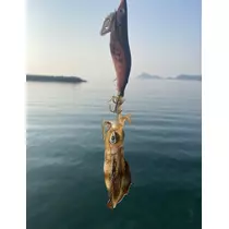 ハル