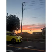 せいか