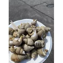 長瀬 純恋