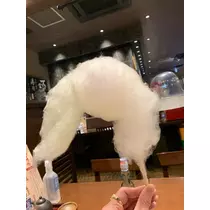 橘 美桜