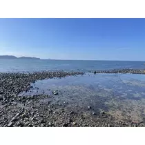 ゆき