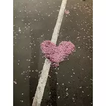 七星 ゆめ