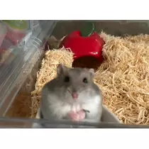 ゆな