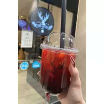 杠 いちか