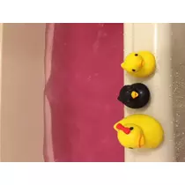 妃 えりか
