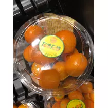 紫音