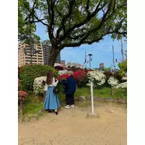 美里