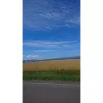 成海 まお