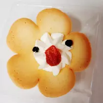 紫音