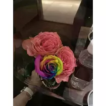 白石 愛莉