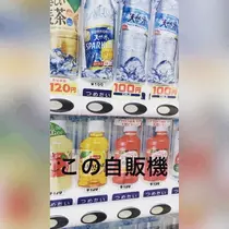 みどり