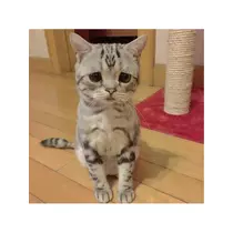 蓮見 リア