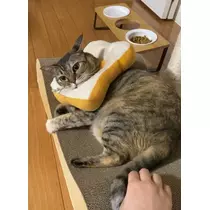 華宮 れい