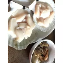 椿 はるな