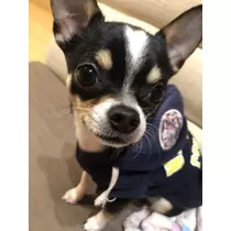 長瀬 純恋