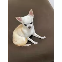 りおな