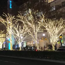 柊 りおん
