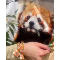 緑 四葉