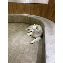 はるせ