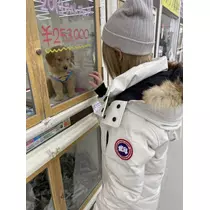七色 光