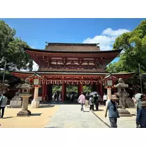 ひな
