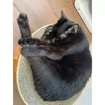 あいゆ