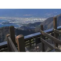 真礼