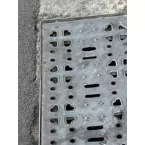 緑 四葉