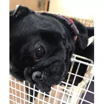 あきな