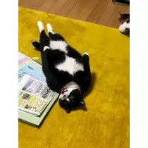 桐島 りゅう