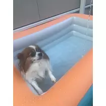 あいら