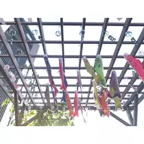 はづき