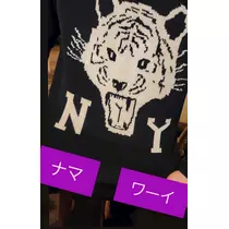 紫音