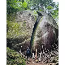 みどり