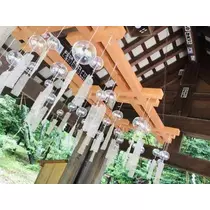 紫月 あやか