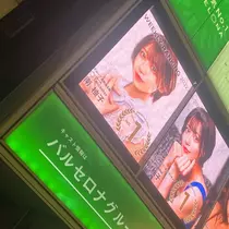 南 柚子