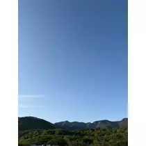 ミヅキ