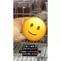 美月