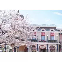 れんか