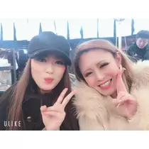 姫花